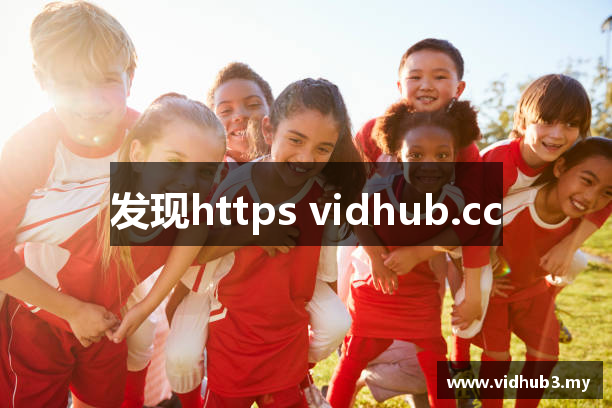 发现https vidhub.cc